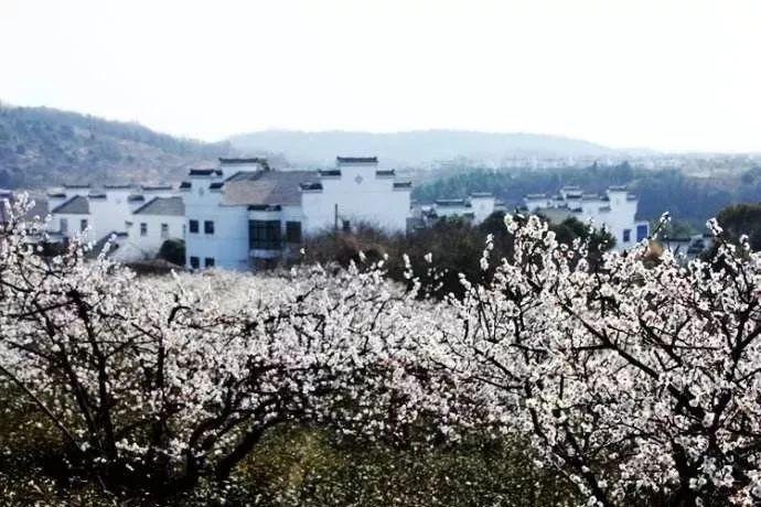 天龙八部手游